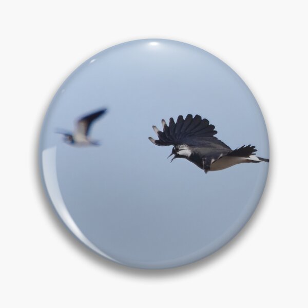 Item preview, Competitor on the right. Northern lapwing designed and sold by Jouko Lehto Photography.