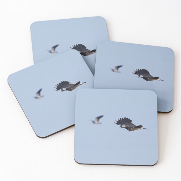 Item preview, Competitor on the right. Northern lapwing designed and sold by Jouko Lehto Photography.