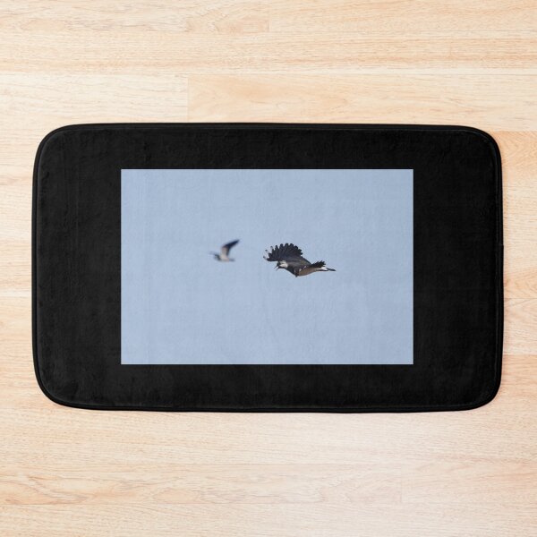 Item preview, Competitor on the right. Northern lapwing designed and sold by Jouko Lehto Photography.