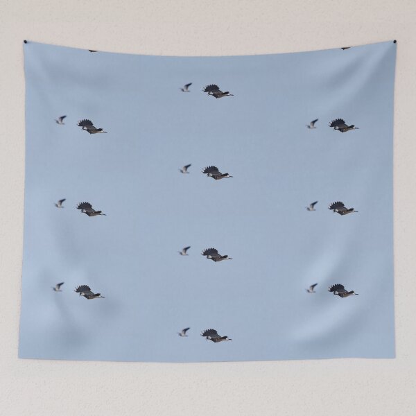 Item preview, Competitor on the right. Northern lapwing designed and sold by Jouko Lehto Photography.