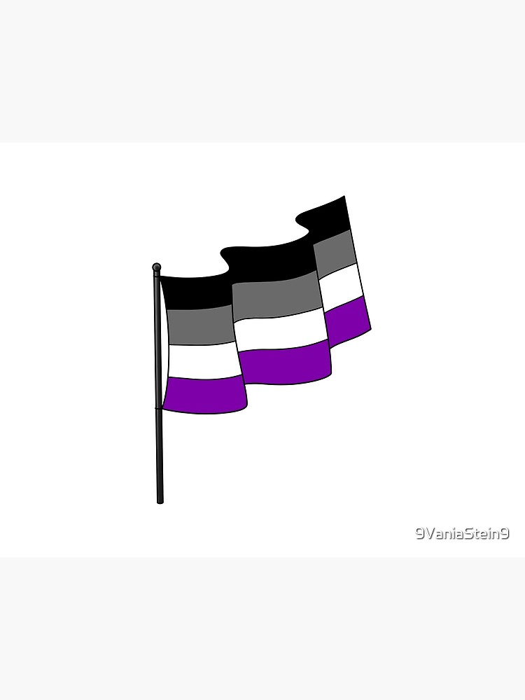 Drapeau ondulant d asexualit noir gris blanc et violet avec m t noir gris brillant Impression rigide