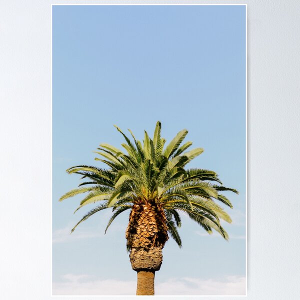 Item preview, Palm Tree Love | USA | Summer Vibes designed and sold by MirjamBroekhof.