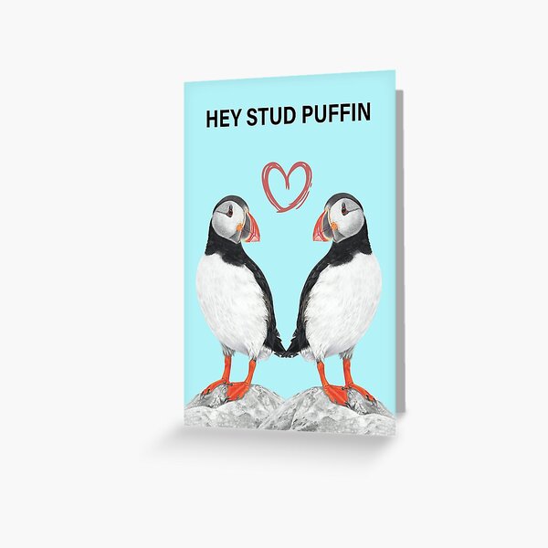 Stud Puffin Blue Boxer