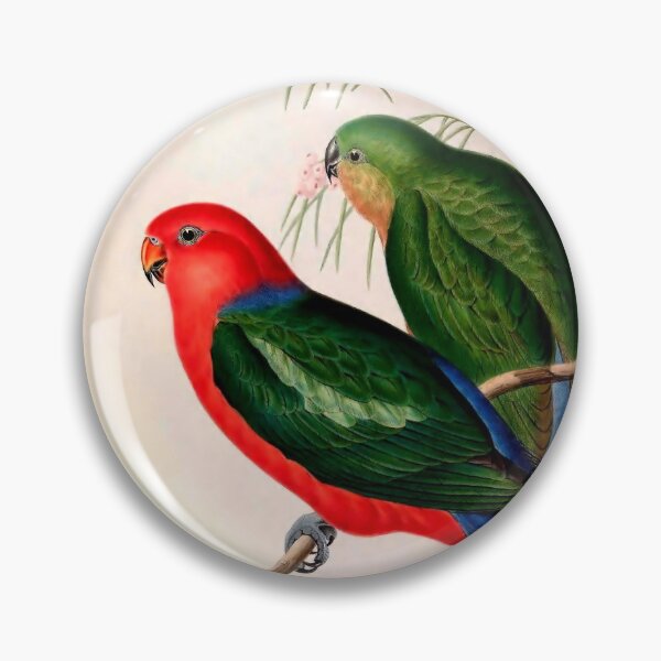 Item preview, King Lory designed and sold by aapshop.
