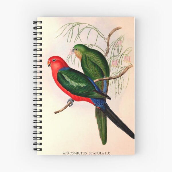 Item preview, King Lory designed and sold by aapshop.