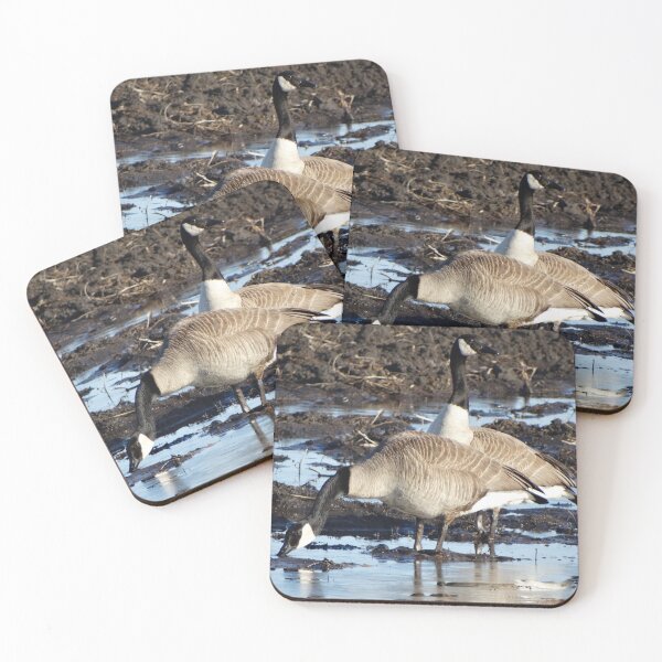Item preview, Canadian Geese in field designed and sold by cowgirltracie.