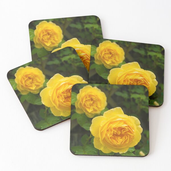Item preview, Yellow Roses designed and sold by jojobob.