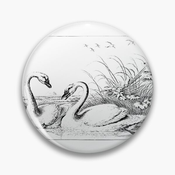 Item preview, Swan portrait. designed and sold by emphatic.