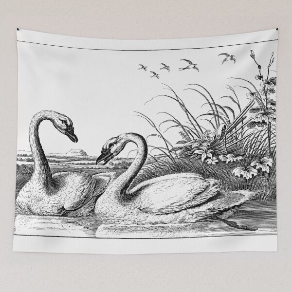 Item preview, Swan portrait. designed and sold by emphatic.