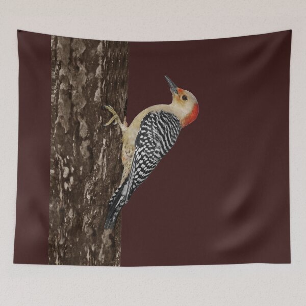 Item preview, Female Red Bellied Woodpecker designed and sold by cherylorraine.