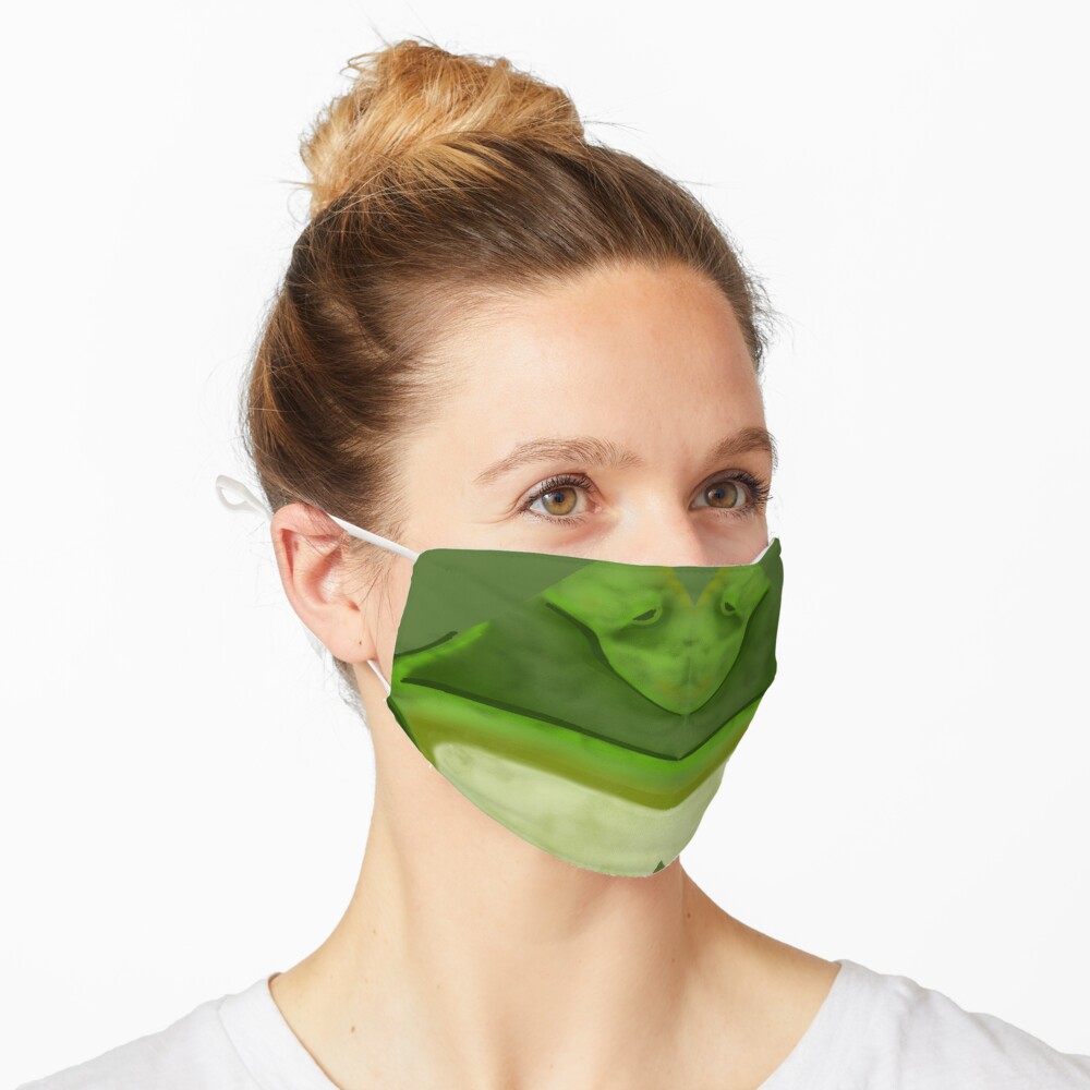Green Frog Face Mask Mask