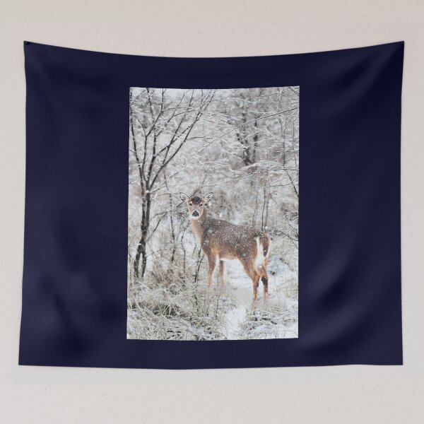 Item preview, Enchanted designed and sold by 7AJA.