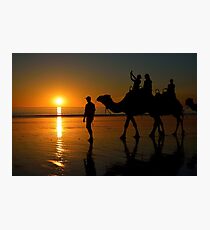 Camels on Cable Beach 1 Photographic Print