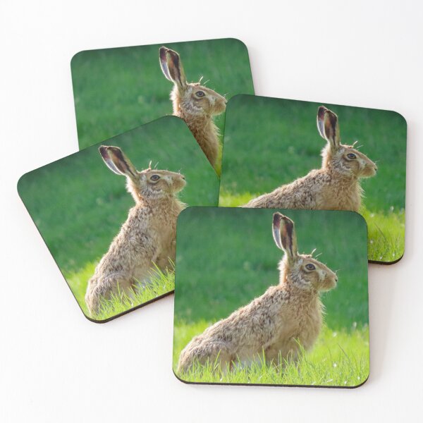 Item preview, A Wonderful Hare designed and sold by Karen Thomson.