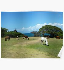 Wild Horses Poster