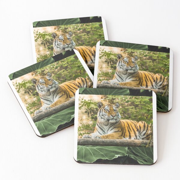 Aperçu de l'œuvre Tigre relaxant créée et vendue par Helen Enchanted Designs .