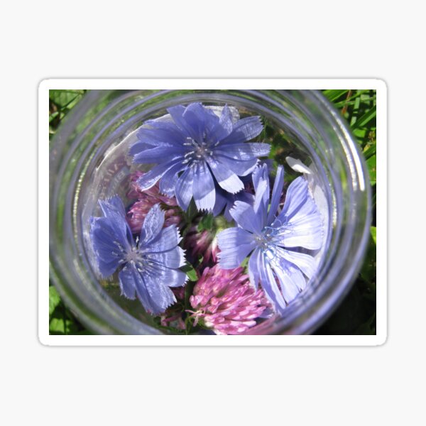 Flowers in a Jar Sticker