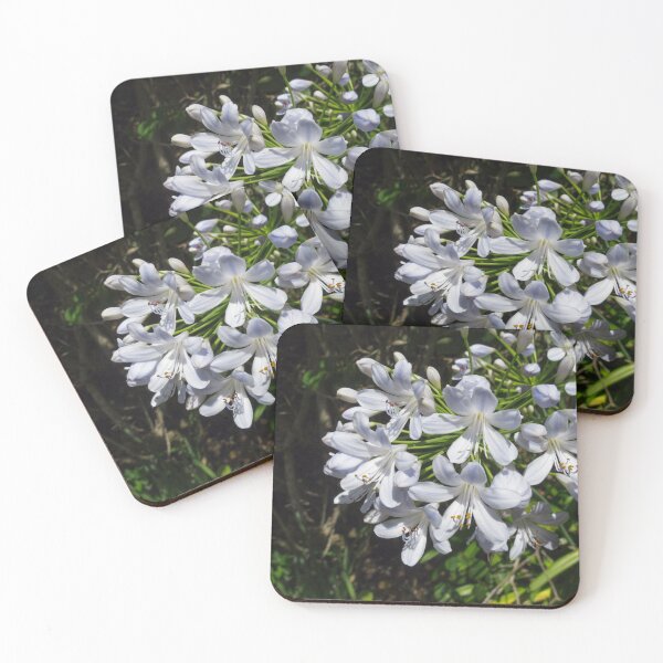 Item preview, African Lily designed and sold by PilarSG.