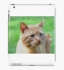 Ginger iPad Case/Skin