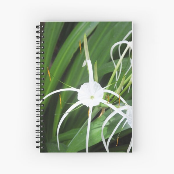Spiral Notebook