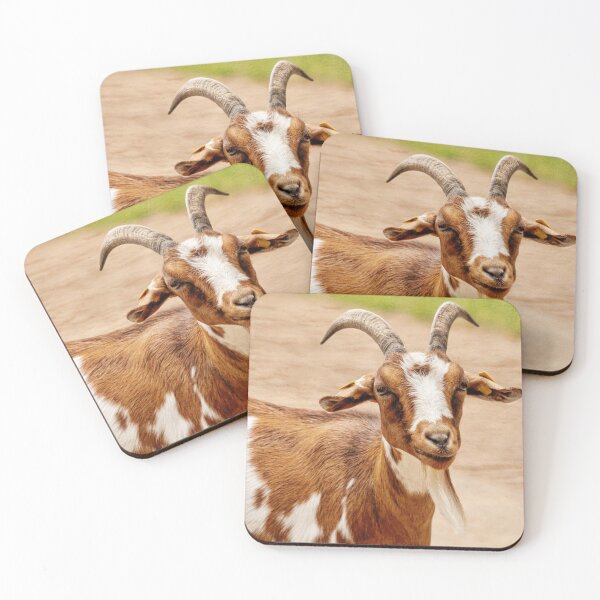 Item preview, Brown and White Goat designed and sold by Frankie Cat Photography.