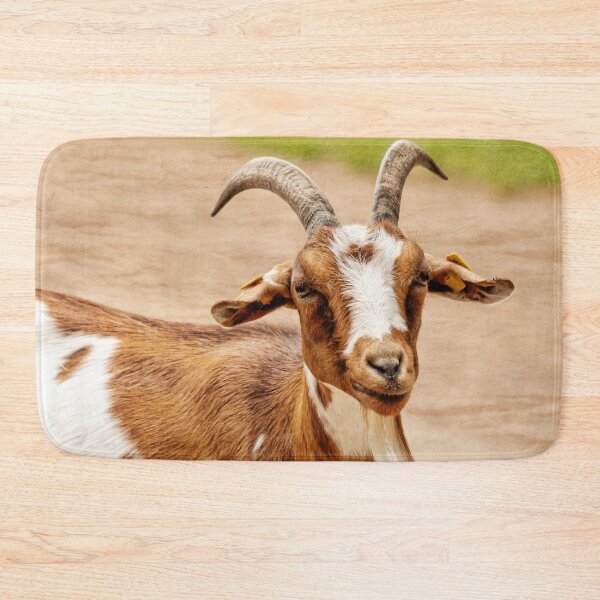 Item preview, Brown and White Goat designed and sold by Frankie Cat Photography.