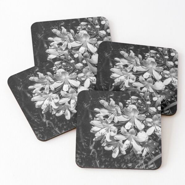 Item preview, African Lily_B&W designed and sold by PilarSG.