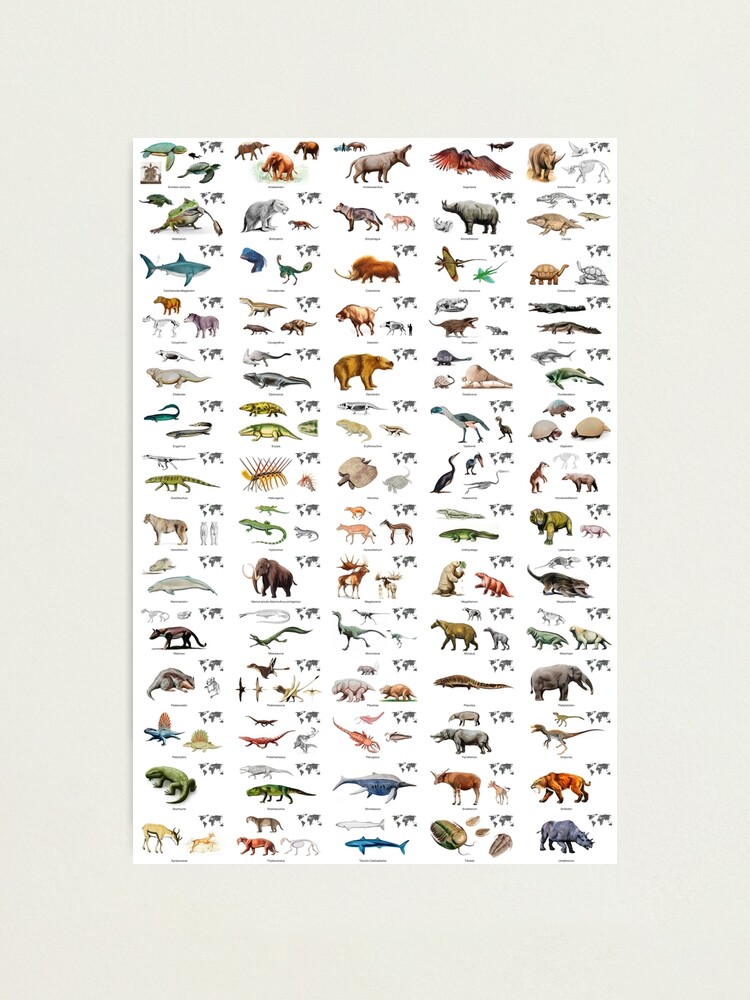 Prehistoric Animals (with names and maps)