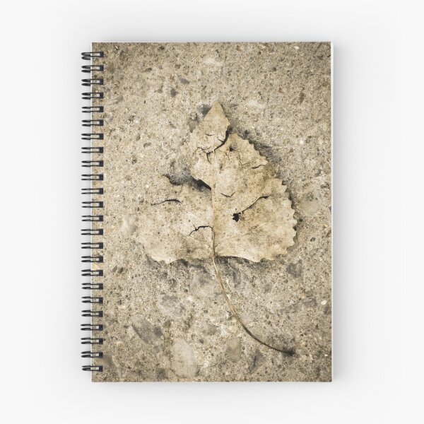 Item preview, Inscrustation designed and sold by Marie Boucher.