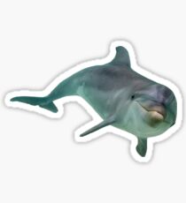 dolphin Sticker
