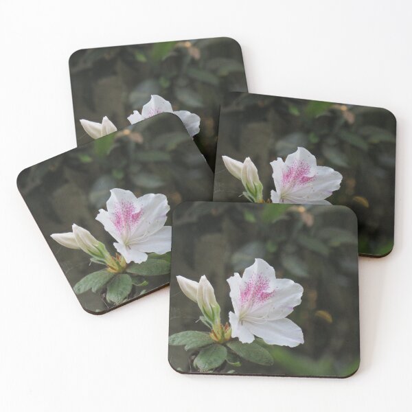 Item preview, Pink and white rhododendron designed and sold by greentiger1.