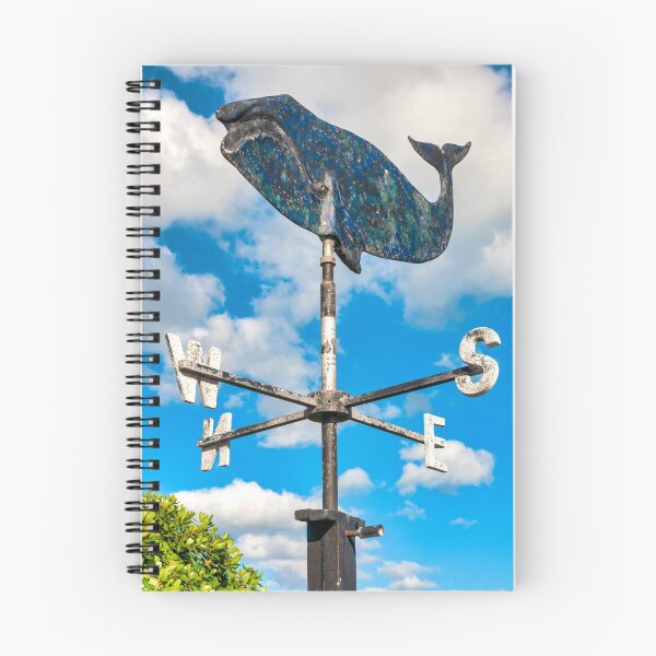 Item preview, Weather vane designed and sold by troianifabrizio.
