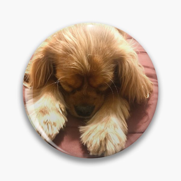 Item preview, Resting pup designed and sold by lpolitano.