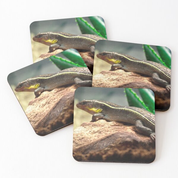 Item preview, Copy of Yellow-throated Plated Lizard designed and sold by sshayrobinsonn.