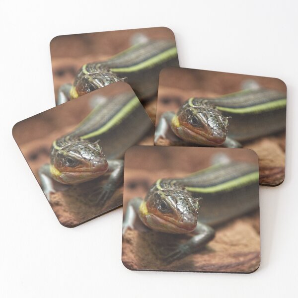 Item preview, Yellow-throated Plated Lizard designed and sold by sshayrobinsonn.