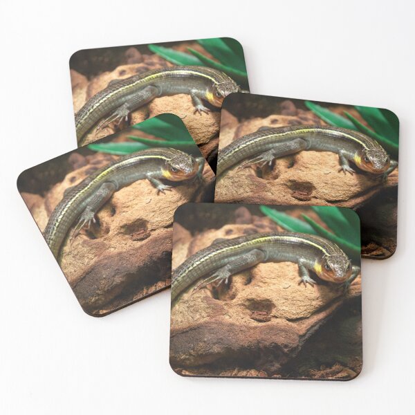 Item preview, Yellow-throated Plated Lizard Basking designed and sold by sshayrobinsonn.