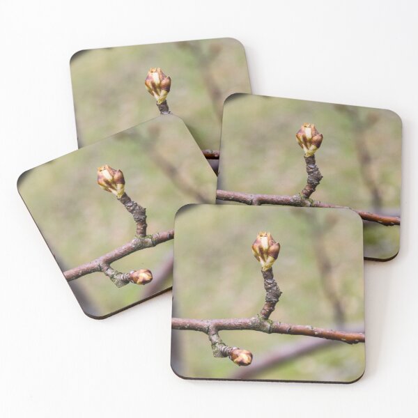 Item preview, Flower buds open in the spring designed and sold by Mahirov Shop.