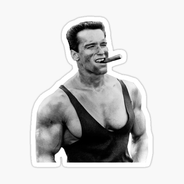 Arnold Schwarzenegger Stickers | Redbubble