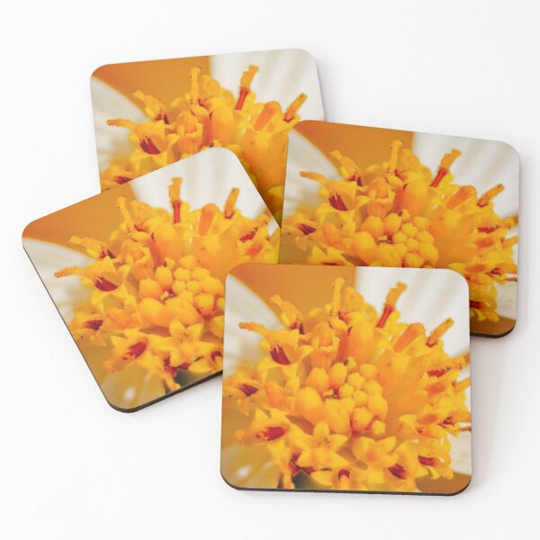 Item preview, Florida Spring designed and sold by ray-shader.