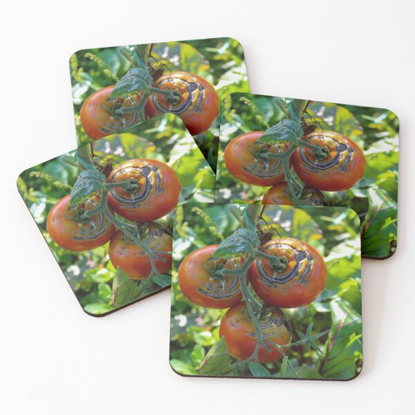 Item preview, A group of damaged ripe tomatoes designed and sold by Mahirov Shop.