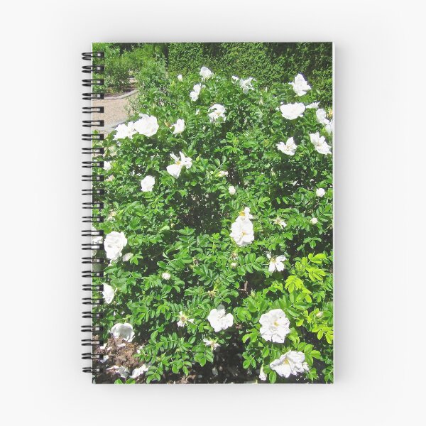 Item preview, White Rose Bush designed and sold by Shulie1.
