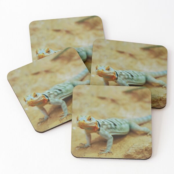 Item preview, Turquoise gecko on yellow rocks designed and sold by Photostacia.