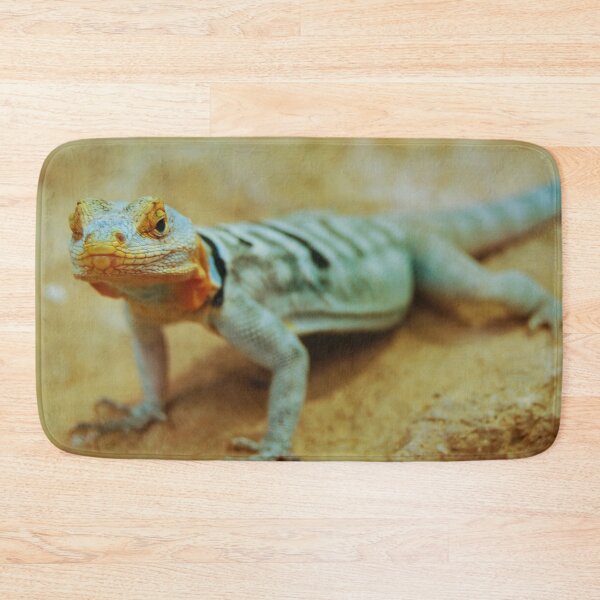 Item preview, Turquoise gecko on yellow rocks designed and sold by Photostacia.