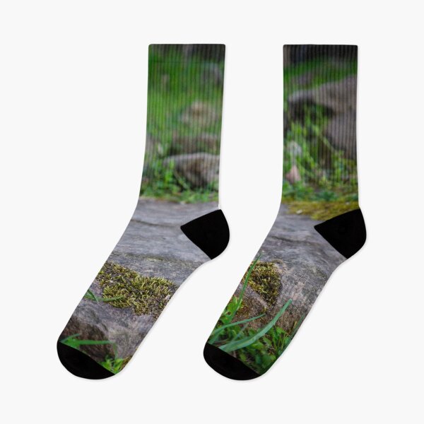 Item preview, Moss Covered Stone Rock Steps with Green Grass designed and sold by PrettyLittlePic.