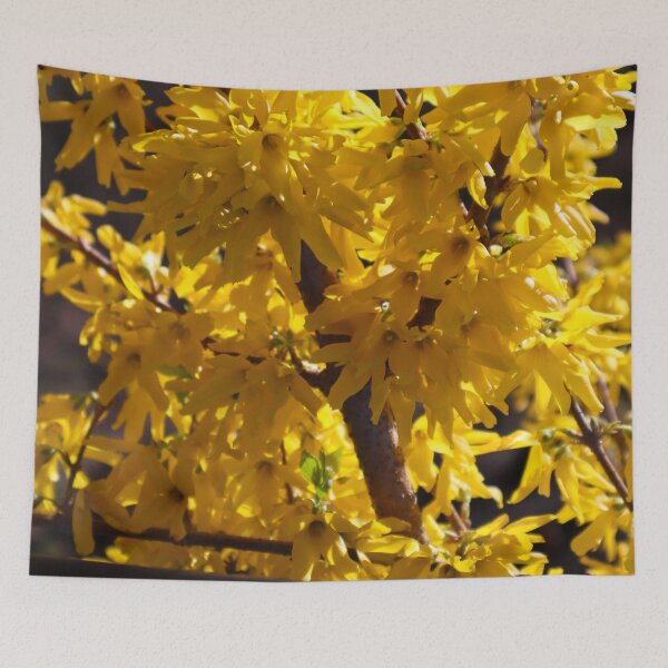 Item preview, Yellow Easter Bush, Spring Blooms with Vibrant Yellow Flower Petals  designed and sold by PrettyLittlePic.