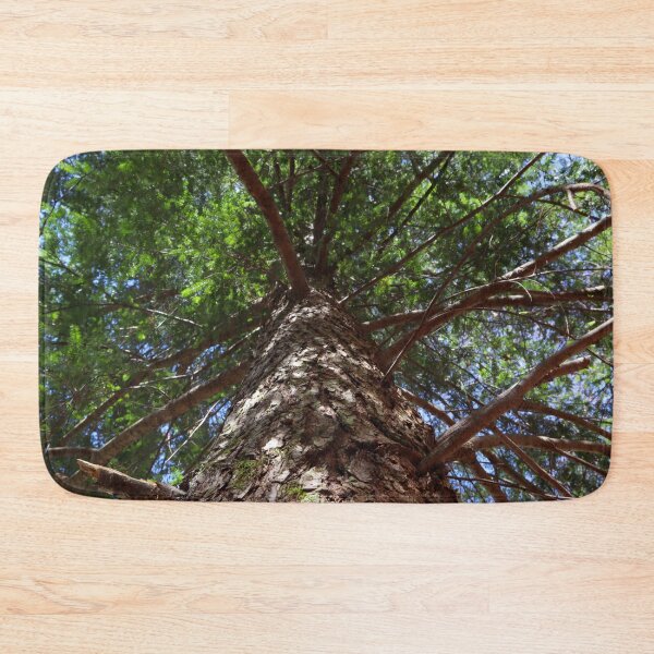 Item preview, Large Pine Tree with Mossy Textured Bark and Blue Skies Peaking Through the Branches  designed and sold by PrettyLittlePic.