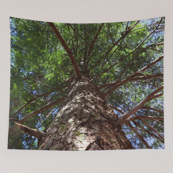 Item preview, Large Pine Tree with Mossy Textured Bark and Blue Skies Peaking Through the Branches  designed and sold by PrettyLittlePic.