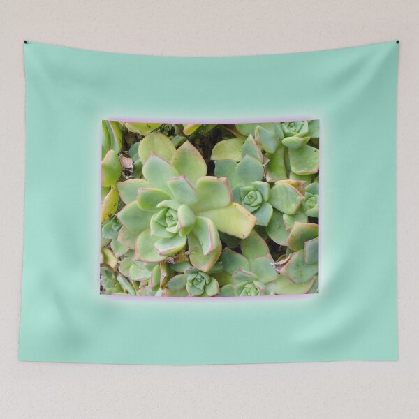 Item preview, Hardy Green Succulent, Red Tipped.   Art Effect:  Light Purple Blurred Border or no Border designed and sold by ThisNThatImages.