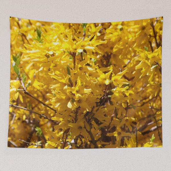 Item preview, Yellow Easter Bush, Spring Blooms with Vibrant Yellow Flower Petals  designed and sold by PrettyLittlePic.