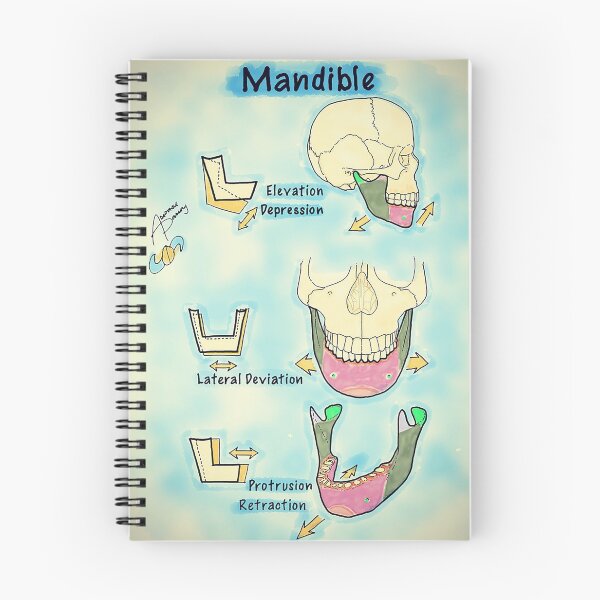 Item preview, Mandible designed and sold by AdaptablePolar.